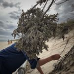 Profile Picture of Borahm Kim (@borahmkim) on Instagram