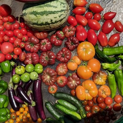 Profile Picture of Todd Gilbert (@@ToddGilbert) on Twitter