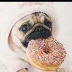 Amy - Instagram Profile Picture of Amy (@drummeramy) on Instagram