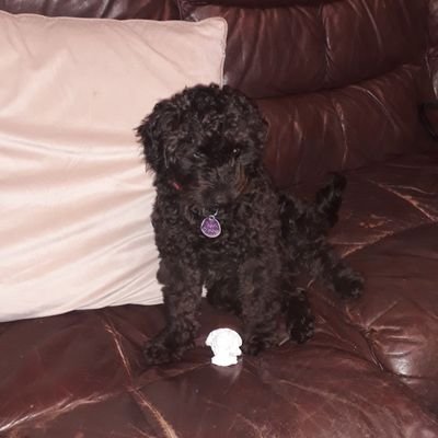 Profile Picture of Valerie Judge (@ValerieJudge4) on Twitter