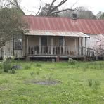 Profile Picture of Vera Mclaughlin (@Vera-Mclaughlin) on Facebook