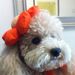 Profile Picture of LAM LAM (@maymyng) on Pinterest
