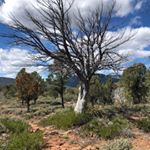 Profile Picture of Alea Cox (@aleacox81) on Instagram