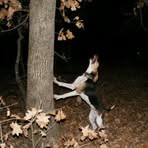 Profile Picture of Jason Crenshaw (@jason.crenshaw.75) on Facebook