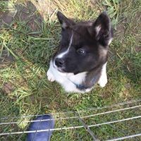 Profile Picture of Mary Terry Rector (@mary-terry-rector) on Quora