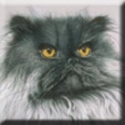 Profile Picture of Lillian Lamb (@lillianaisnlamb) on Twitter