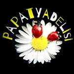Profile Picture of ᴾᵃᵖᵃᵗʸᵃᴰᵉᴸⁱˢⁱ 🌼 (@1papatya_delisi) on Instagram
