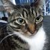 Profile Picture of Joshua Withrow (@joshua.withrow.71) on Facebook