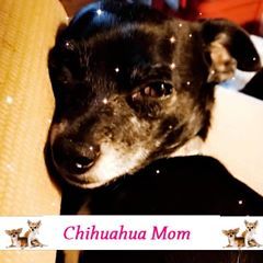 Profile Picture of Jessica Thygesen (@jessicathygesen5) on Tiktok