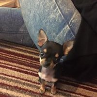 Profile Picture of Jacqueline Foster (@jacqueline-foster-10) on Quora