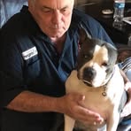 Profile Picture of David Lansdale (@david.lansdale.71) on Facebook