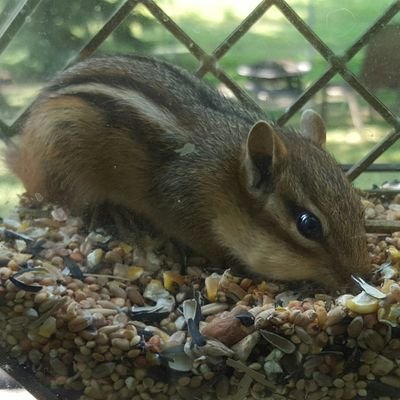 Profile Picture of Dave Pause (@dave_pause) on Twitter