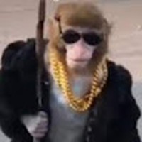 Profile Picture of Carlos Aispuro Espinoza (@carlos-aispuro-espinoza) on Quora