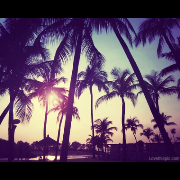 Profile Picture of Macey Doderlein (@cupcakemacey) on Poshmark