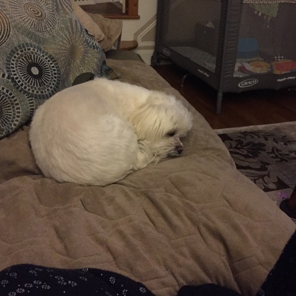 Profile Picture of Tina Rainha (@nekkas) on Poshmark