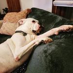 Profile Picture of Zachary Alessi (@zacher07) on Instagram