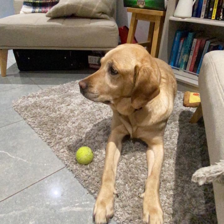 Profile Picture of James Halpin (@@jameshalpin) on Tiktok