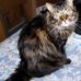 Profile Picture of Lucy Hobbs (@lucy.hobbs.125) on Facebook