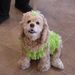 Profile Picture of Christine Aiello (@cma428) on Pinterest
