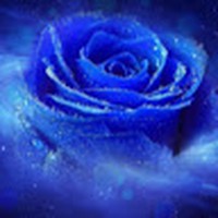 Profile Picture of Tara Ware (@tara-ware-10) on Quora