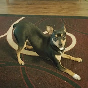 Profile Picture of Mike Taylor (@MikeTaylor-k9k) on Youtube