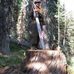 Profile Picture of John Wirth (@john.wirth.794) on Facebook