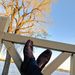 Profile Picture of Nelson Roy (@NelsonARoy) on Pinterest