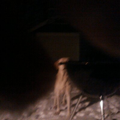 Profile Picture of Matt Engstrom (@mengstrom1112) on Twitter