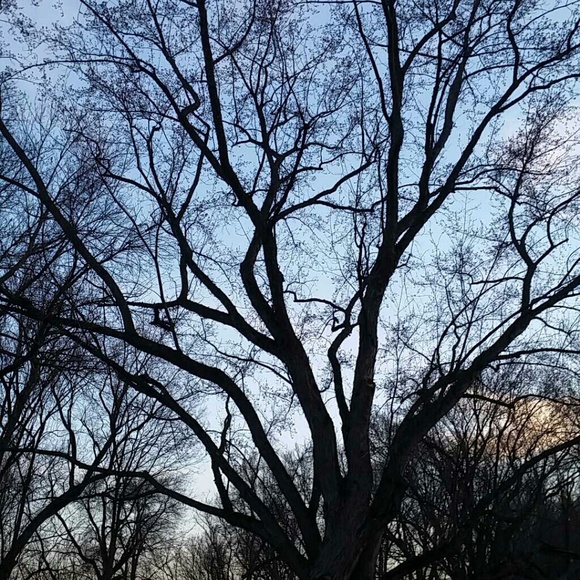 Profile Picture of Miranda Friemel (@mrose520) on Poshmark