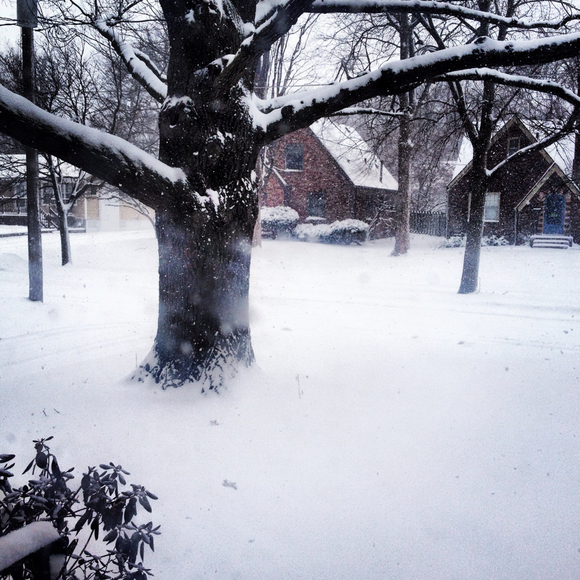 Profile Picture of Hannah Horton (@hjhorton) on Poshmark