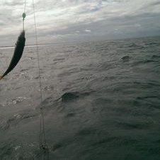 Profile Picture of Scott Sibley (@scottsmoments) on Twitter