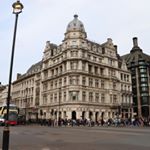 Profile Picture of James Kane (@kane_yuen) on Instagram