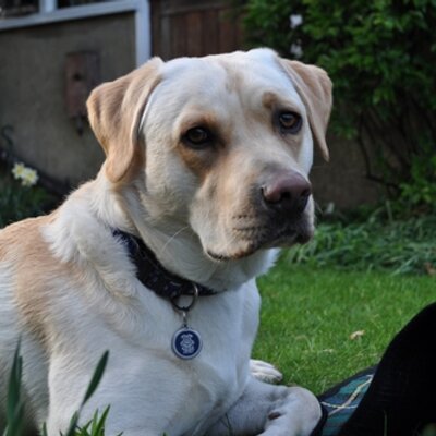 Profile Picture of Mark & Lisa Earnshaw (@jalima) on Twitter