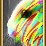 Profile Picture of Little Gebs (@tysongebert) on Instagram