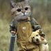 Profile Picture of Andrew Mayfield (@mayfield1767) on Pinterest