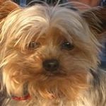 Profile Picture of Marie-anne van den Steen (@marieannevandensteen) on Instagram