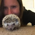 Profile Picture of Kelli Barry (@kellbells901) on Instagram