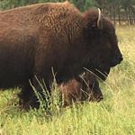 Profile Picture of Beverly Diem Fasig (@beverlyfasig) on Instagram