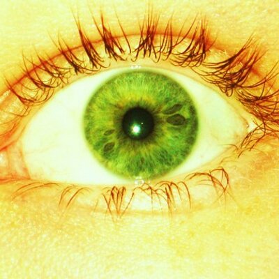 Profile Picture of Seth Tiger (@Gran_Visionario) on Twitter