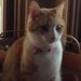 Profile Picture of Sandy Dunbar (@poffyy35) on Pinterest
