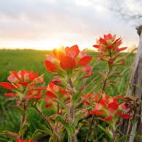 Shelby Andrew - Poshmark Profile Picture of Shelby Andrew (@shelbyandrew17) on Poshmark