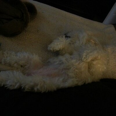 Profile Picture of Bonnie Fowler (@@embfowler) on Twitter