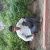 Profile Picture of Anil Tyagi (@aniltyagi1804) on Pinterest