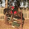 Profile Picture of Meagan Schultz (@@horse_girl_showjumping) on Tiktok
