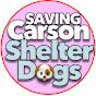 Profile Picture of Saving Carson ShelterDogs (@@debverbeeck) on Tiktok