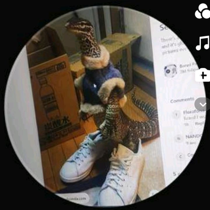 Profile Picture of jacob Barker (@krendonz) on Tiktok