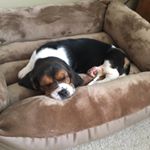 Profile Picture of Lucy Currin (@ilovelucy_2018) on Instagram