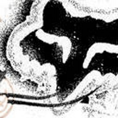 Profile Picture of Robert McMeekin (@sk8andbmxrulz) on Twitter