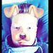 Profile Picture of KEVIN KINZEL (@100600100ll) on Pinterest