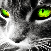 Paula MC - Youtube Profile Picture of Paula MC (@paulamc6776) on Youtube